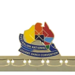 Mer 001 B National Convention Badge C